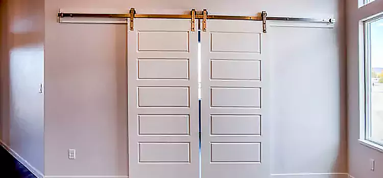 Glass Barn Door with Installation Hardware Kit Rome